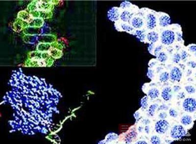 Science抑癌基因p53与癌细胞死亡关系