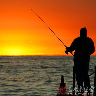 怎么钓鱼 教你四季钓鱼的技巧(5)