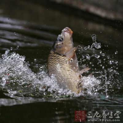 当然阴雨天和多云天气在水草边做窝还是优于亮水的