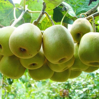 猕猴桃果实中的维生素C、镁及微量元素含量高