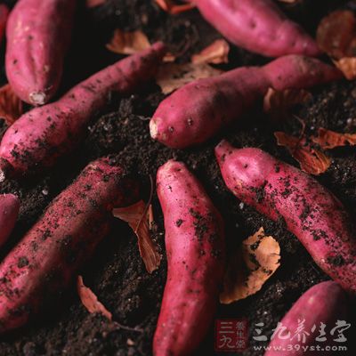 红薯含有大量的抗氧化剂，植物化学物质