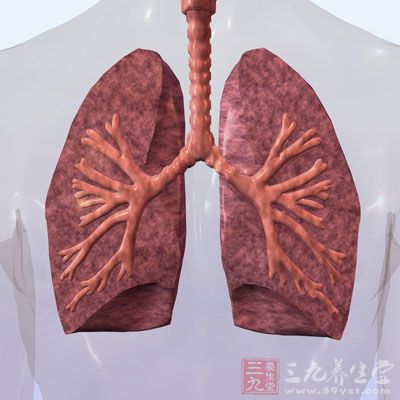 吸烟的肺和正常人的肺图片_常年吸烟肺部图片