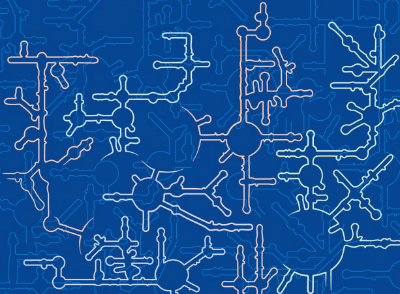 核糖核酸分子及其构造作用研究迎来新高潮