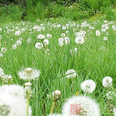 适用于上消型糖尿病患者