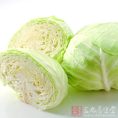 别名圆白菜或洋白菜