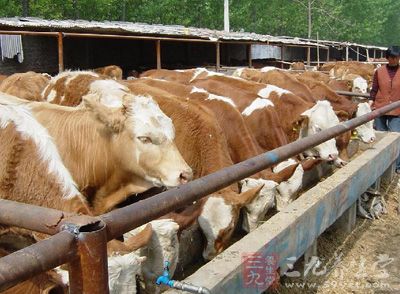 辽宁炭疽疫情得有效控制 九成接触者解除观察