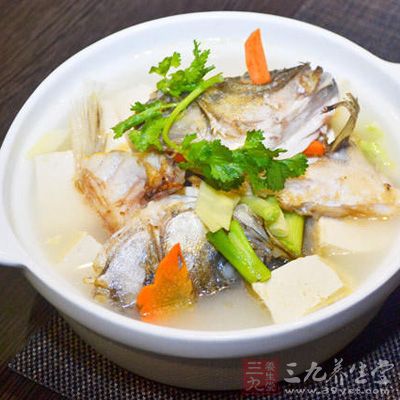 鱼头豆腐汤的家常做法 鱼头豆腐汤营养棒