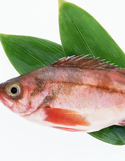 吃鱼使大脑免于汞毒伤害