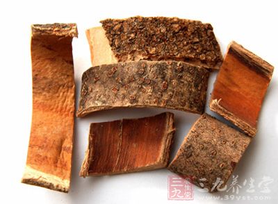 秦皮属于木犀科植物白蜡树、尖叶白蜡树等干燥的枝皮或干皮