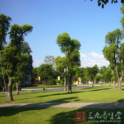 如果有条件，好居住在远离城市远离工业区，空气环境清新的地方，至少所居住的地方不是经常噪音污染严重