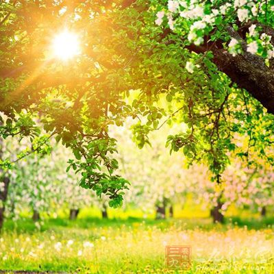 场地选择:提倡室外活动,好是有阳光、有树、有绿草 场地选择:提倡室外活动,好是有阳光、有树、有绿草