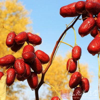 大棗性味甘平，入脾胃有補(bǔ)氣益血之功效