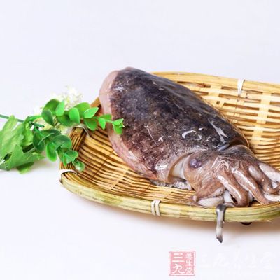 墨魚(yú)具有益血補(bǔ)腎、健胃理氣的功效