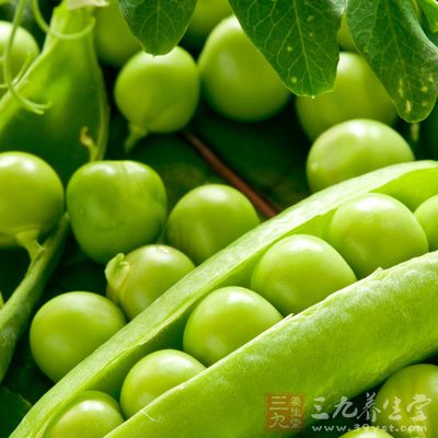 豆荚果呈翠绿色、饱满，豆粒呈青白色或红棕色，有光泽