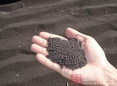 四川省粮食局召开2015油菜籽收购工作会议