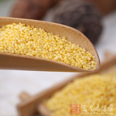 多吃小米 多吃小米