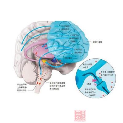 垂体瘤常见的四大信号