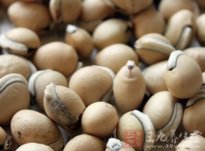 白扁豆的功效与作用及食用方法 怎么吃好--三九