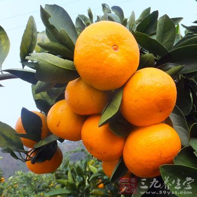 只有部分水果,如西瓜、香蕉、菠萝等升糖指数(GI)较高,升血糖较快,而其余大部分水果,如苹果、梨、葡萄、桃、橘子等,升血糖不快 只有部分水果,如西瓜、香蕉、菠萝等升糖指数(GI)较高,升血糖较快,而其余大部分水果,如苹果、梨、葡萄、桃、橘子等,升血糖不快