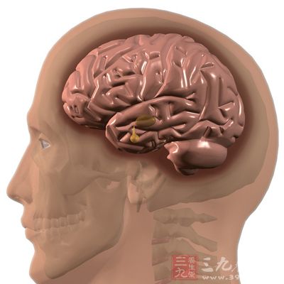 楔狀型陳額葉眶回疝外皆可引起不同的組織損害而引起不同的臨床癥狀使病程復(fù)雜化