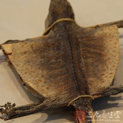 三者加水同炖至蛤蚧熟后服食，每周2剂