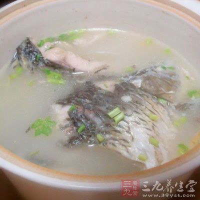 秋季男人喝鯉魚湯減肥