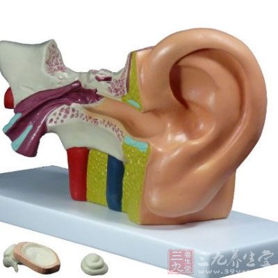 中耳炎的危害 慢性卡他性中耳炎有什么危害(3