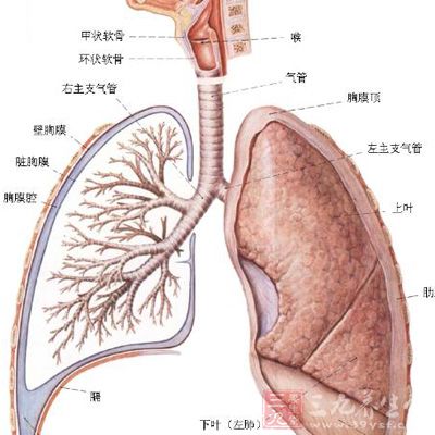 天气热吹空调是导致多种呼吸道疾病诱因