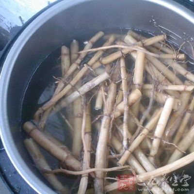 芦根汤原料：芦根50克，忍冬藤叶25克，连翘15克，淡竹茹20克