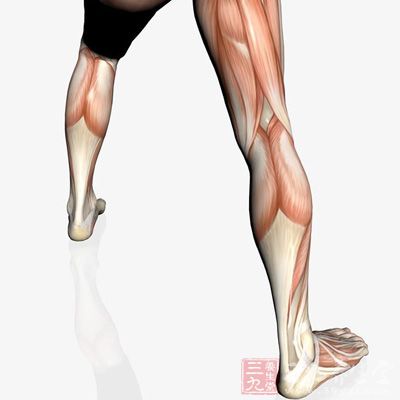 相比下蹲动作，弓步能够锻炼你整个下半身的肌肉