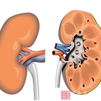 亚临床甲减的症状 警惕患上亚临床甲减