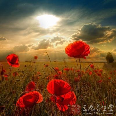 家说，适当增加性生活频率可以改善性器官的血流和供氧状况。此外，多吃点银杏、洋葱、胡萝卜等低脂和扩张血管的食物，防止脂肪堆积