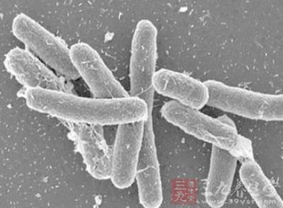 美国爆发沙门氏菌疫情 如何预防沙门氏菌