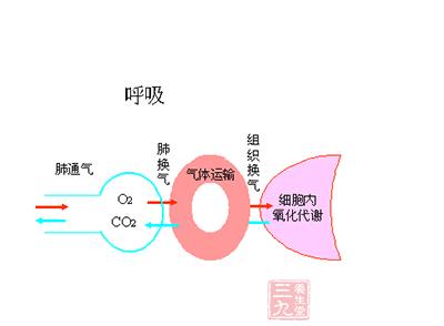 呼吸衰竭的临床表现