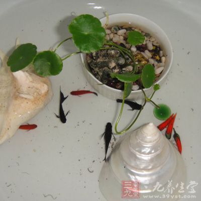 办公室有一物让你前途无量(3)