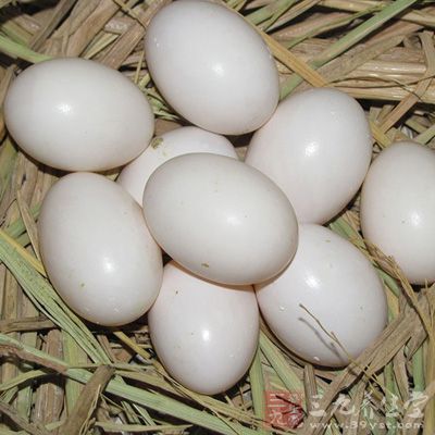 鸽子蛋的营养价值及功效 营养丰富功效多