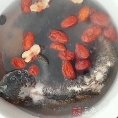 黑豆红枣塘虱鱼汤