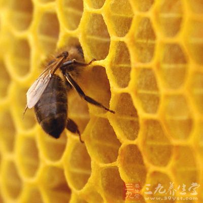 蜂巢的作用 小蜂巢大用途--三九养生堂专家专栏