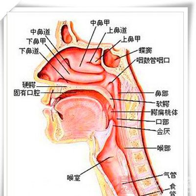 鼻息肉有哪些症状   不少人发现自己的鼻子出现了一个肉瘤,以为是