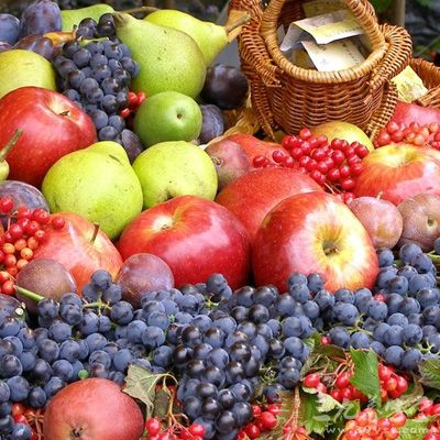 水果在减肥期间没有说不能吃，但是要少吃