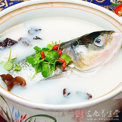 鰱魚頭湯的做法