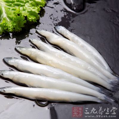 銀魚能益脾胃，補(bǔ)氣潤(rùn)肺