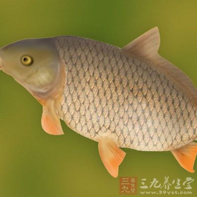 鯉魚：鯉魚的蛋白質(zhì)不但含量高，而且質(zhì)量也佳，人體消化吸收率可達96%，并能供給人體必需的氨基酸