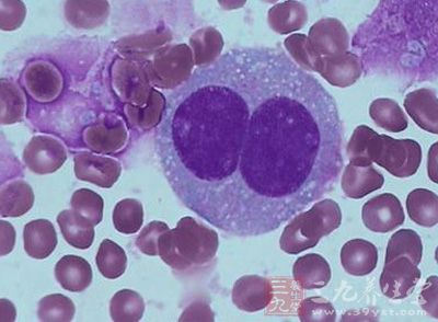 《滚蛋吧肿瘤君》看哭网友 揭秘非霍奇金淋巴瘤 - 三九养生堂