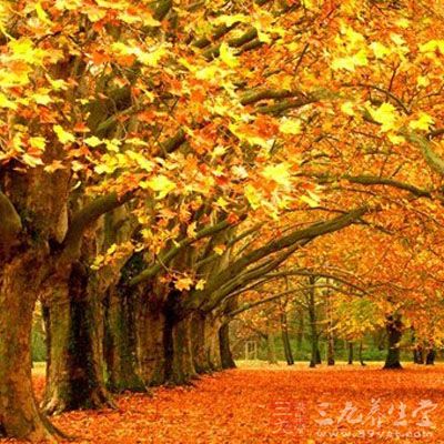 秋天气候多变，早午晚及室内外温差较大，呼吸道黏膜不断受到乍暖乍寒的刺激，抵抗力减弱，给病原微生物提供了可乘之机，支气管哮喘容易反复发作