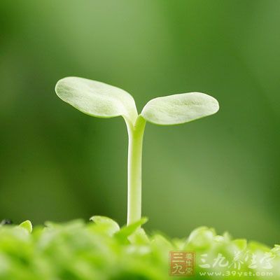 在夏秋季节转换之时，白天气温高，夜晚气温低，昼夜温差加大，身体处于夏亏状态又有过敏体质的人，对这种明显的改变一时便难以适应