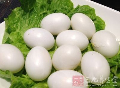 鸽子蛋的营养价值-三九养生堂养生百科