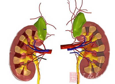 腎陰虛，腎虛的一種類(lèi)型