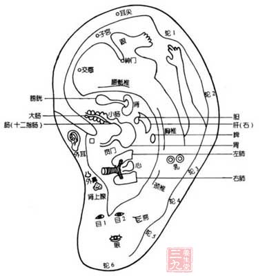 全耳按摩法