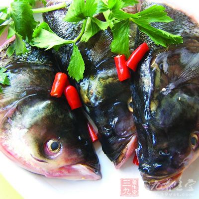 鱼头的做法大全 教你做鲜美可口的鱼头(2)